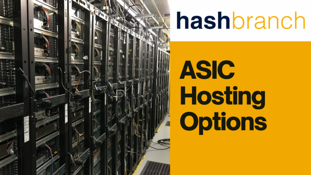 ASIC Hosting Options